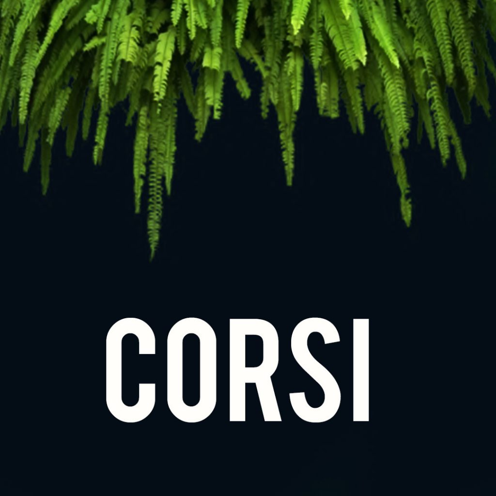 Corsi di canto, pianoforte, batteria, basso, chitarra e propedeutica a Fiumicino